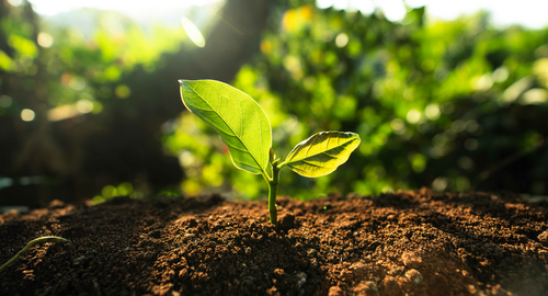 AdobeStock_410620092