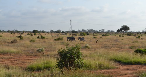 energy_transmission_kenya_wiki
